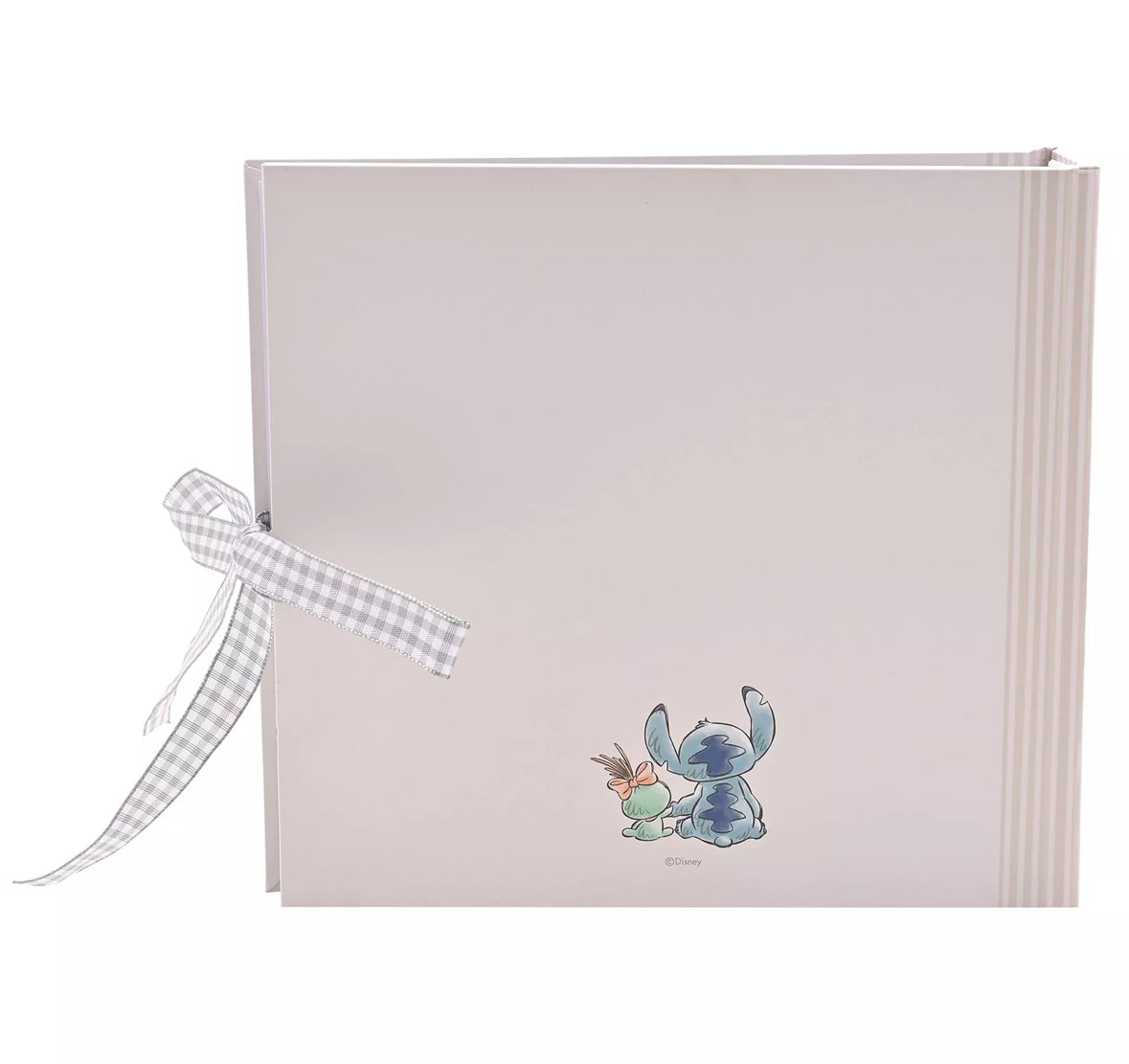 Disney Baby Stitch Foto Album - Started With The Mouse