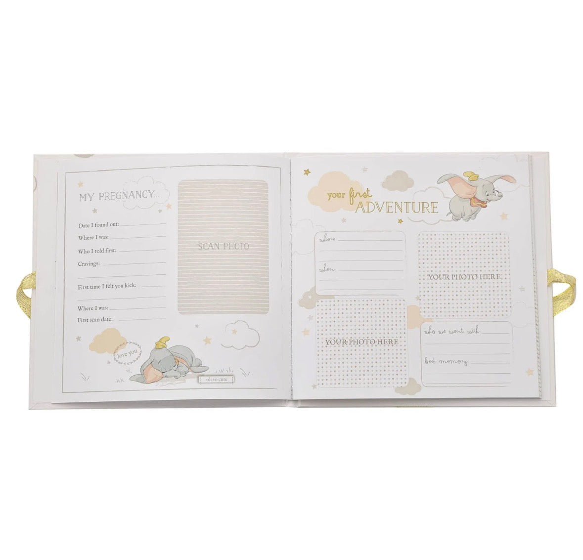 Disney Magical Beginnings My First Year Boek - Dumbo - [shop_namen] - [product-type] 